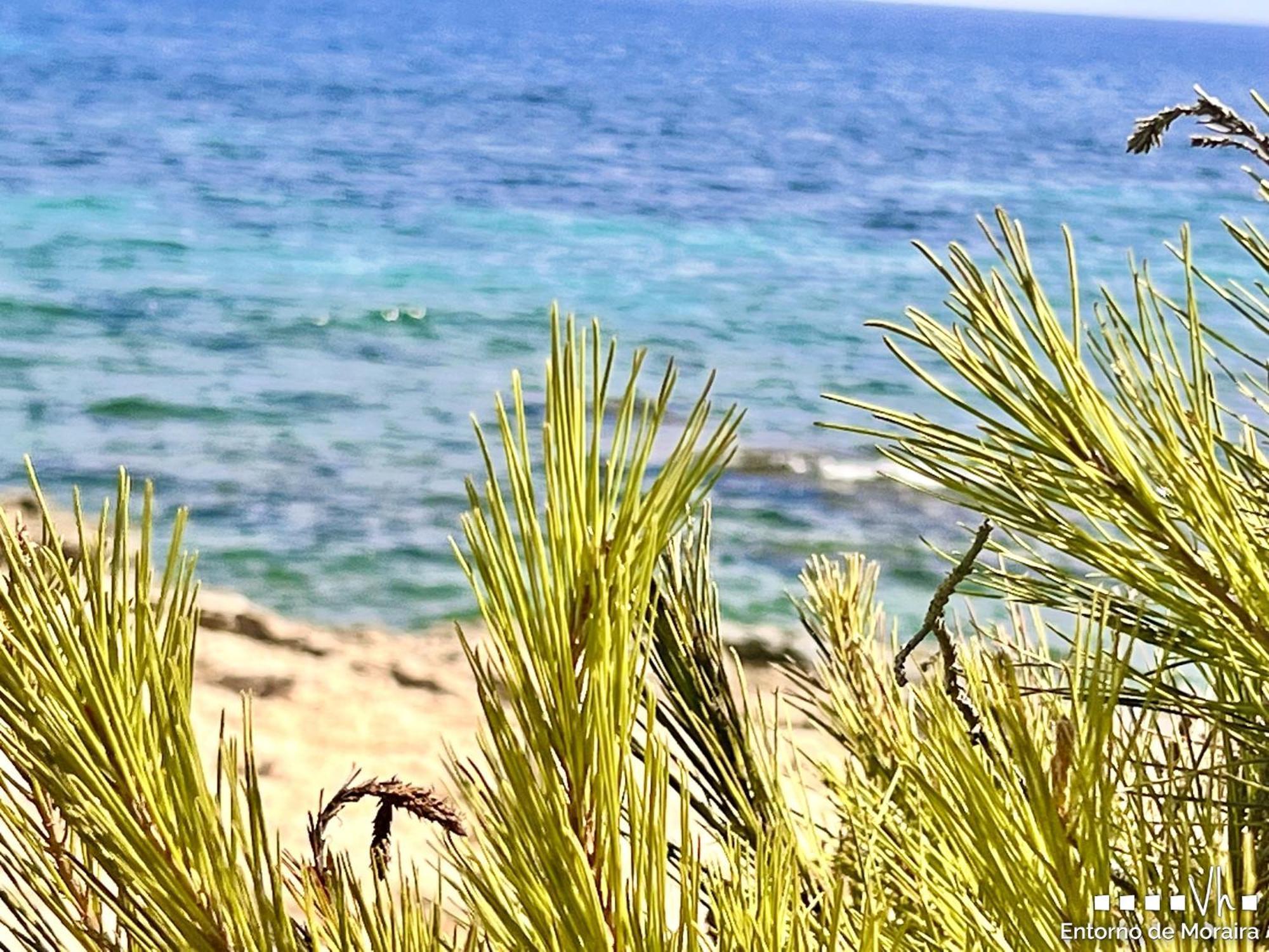 Vh Costablanca - Merlin Бениса Екстериор снимка